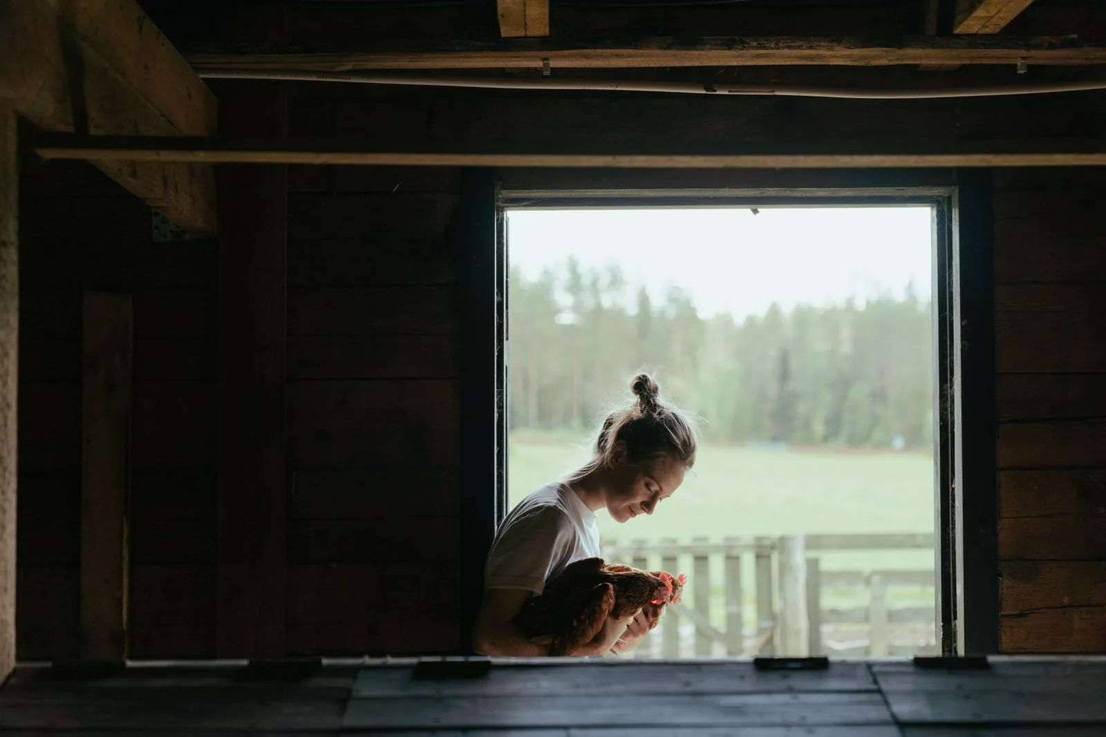 Poultry health professional holding a hen in a farm barn doorway