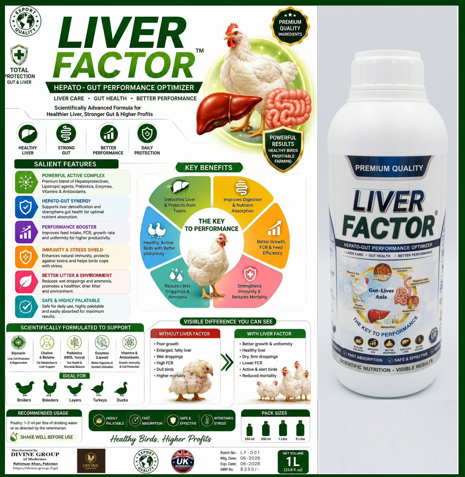 Liver Factor product information artwork by Divine Meridian