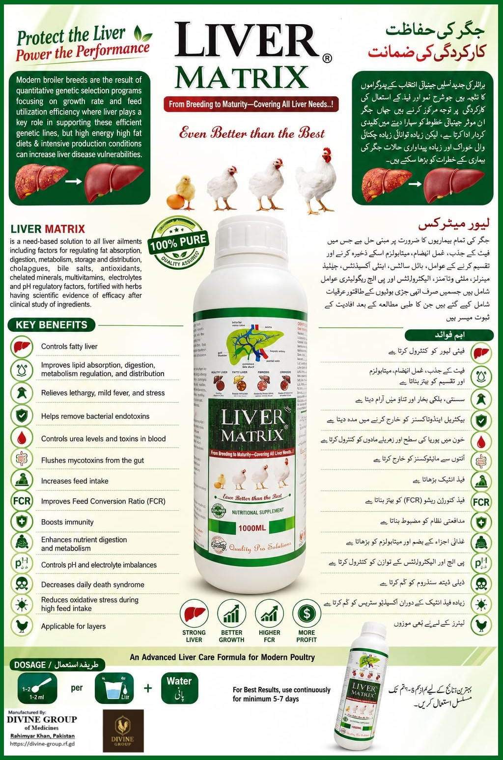 Liver Matrix product information artwork by Divine Meridian
